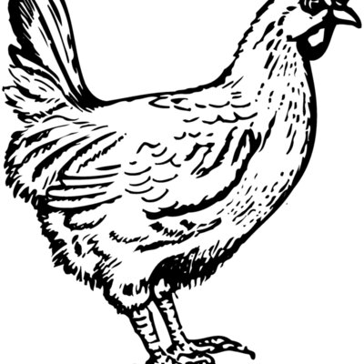 CHICK004 Thumbnail