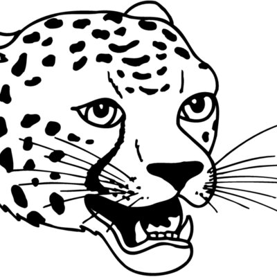 CAT14 Thumbnail