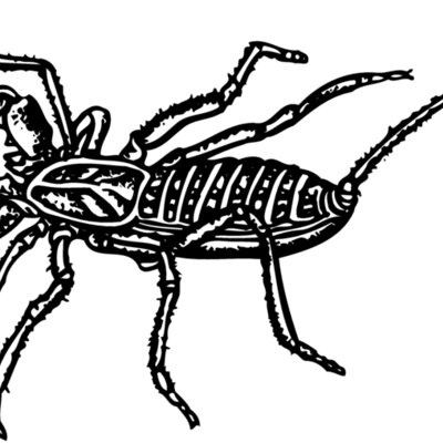 SCORP02 Thumbnail