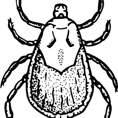 TICK Thumbnail
