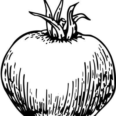 VEG014 Thumbnail