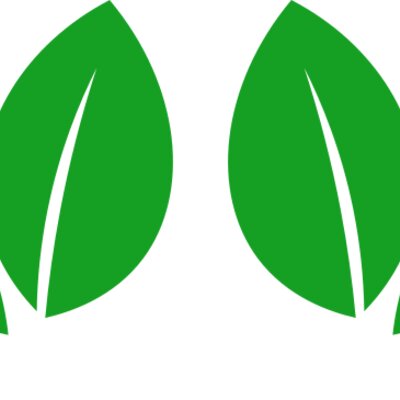 11 Leaves Thumbnail