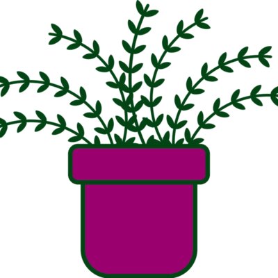 Plant 3 Thumbnail