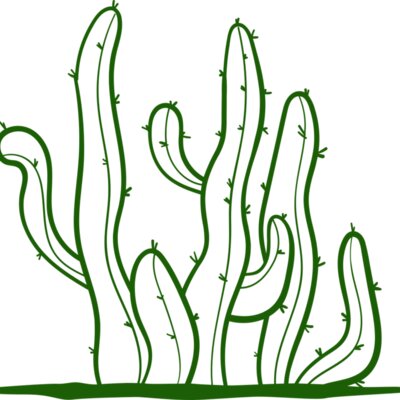 Cactus 2 Thumbnail