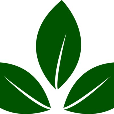 Leaves 5 Thumbnail