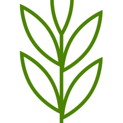Leaves 4 Thumbnail