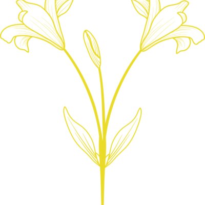 Flowers 9 Thumbnail
