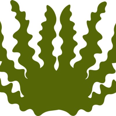Sea Plant 2 Thumbnail