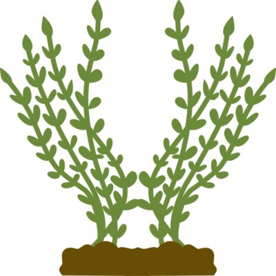 Plants 4 Thumbnail
