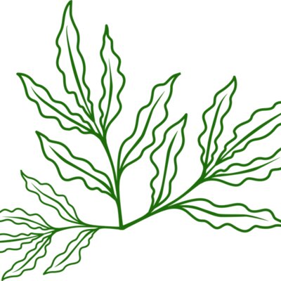 Leaves 7 Thumbnail