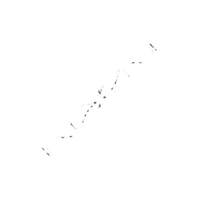 The Seed of Life Thumbnail