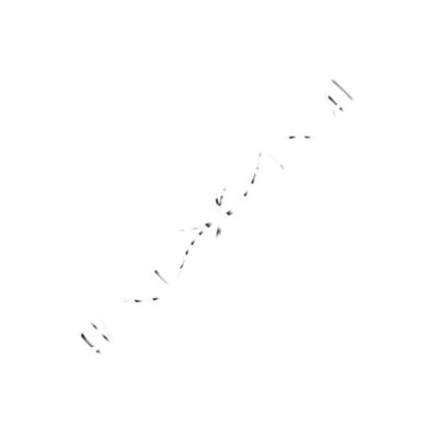 The Seed of Life Stylized Thumbnail