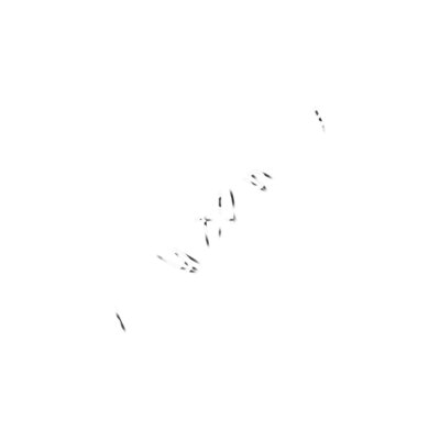 The Vesica Piscis Thumbnail