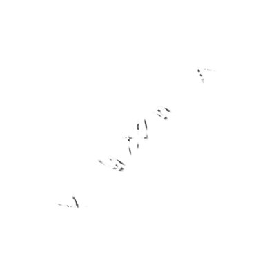 The Vesica Piscis Stylized Thumbnail