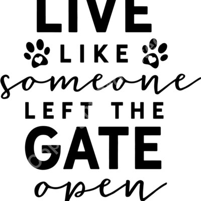 Live like someone left the gate open Thumbnail
