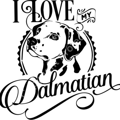 Love my dalmatian Thumbnail