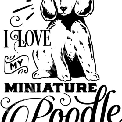 Love my miniature poodle 2 Thumbnail