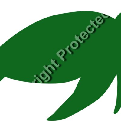 turtle 2 Thumbnail