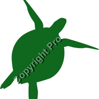 turtle Thumbnail