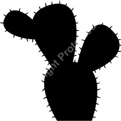 5 Thumbnail