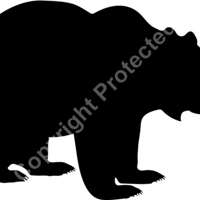 bear Thumbnail
