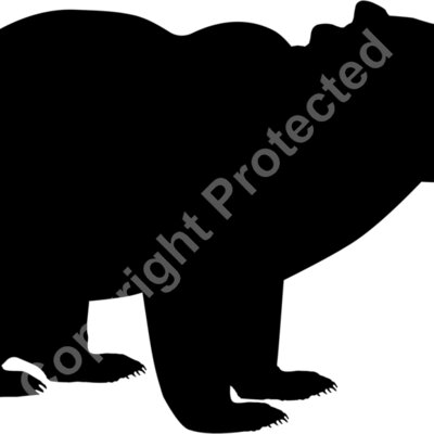 bear2 a  2  Thumbnail