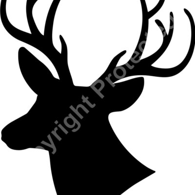 deer Thumbnail