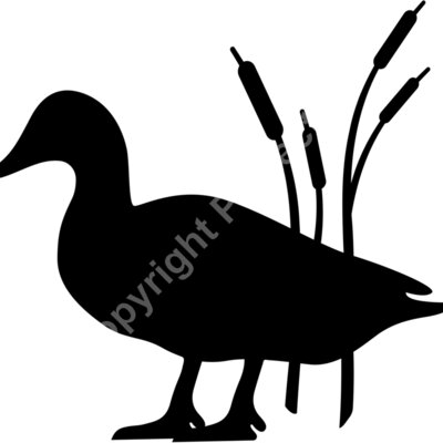 duck Thumbnail