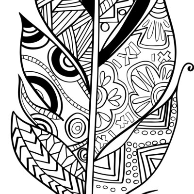 feathers 1  2  Thumbnail