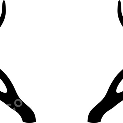 horn c Thumbnail