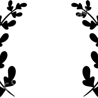 laurel a 1  5  Thumbnail