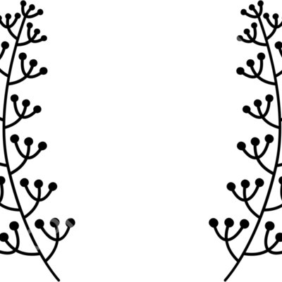 laurel b 1  5  Thumbnail