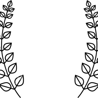 laurel b 1  6  Thumbnail