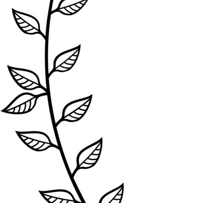 leaf2 a  1  Thumbnail