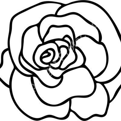 rose Thumbnail