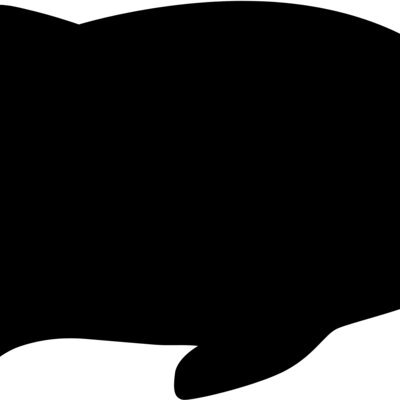 fish b Thumbnail