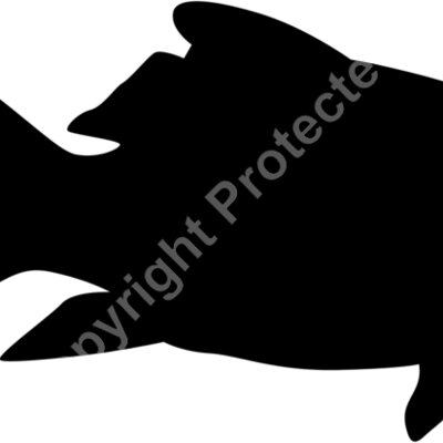 fish Thumbnail