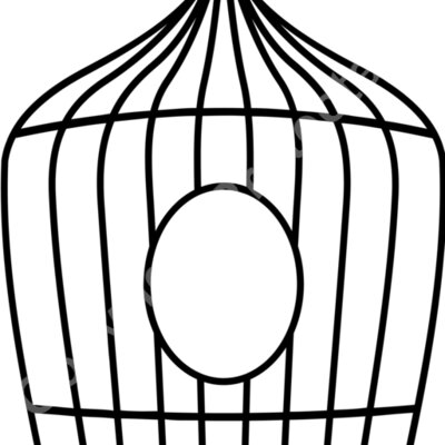 bird cage1 Thumbnail
