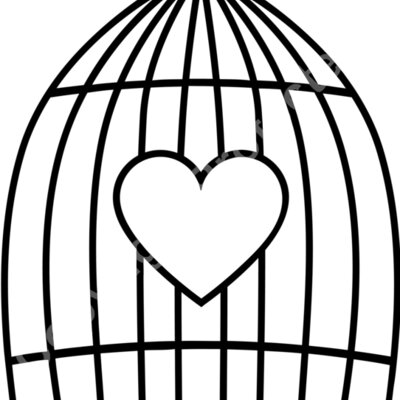 bird cage3 Thumbnail