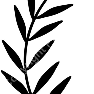 floral2 Thumbnail