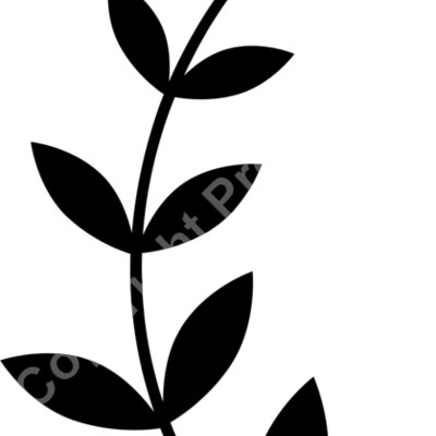 floral3 Thumbnail