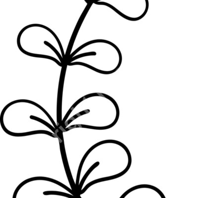 floral4 Thumbnail