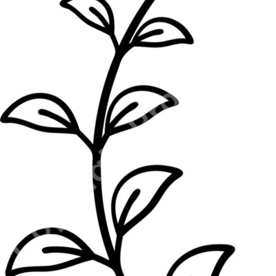 floral5 Thumbnail