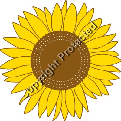 flower 1 Thumbnail