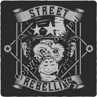 monkey2 set 6 Thumbnail