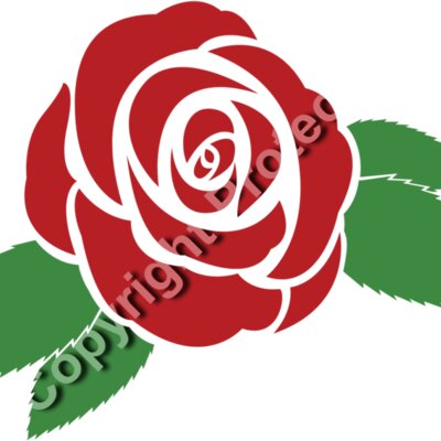 Rose 04 Thumbnail