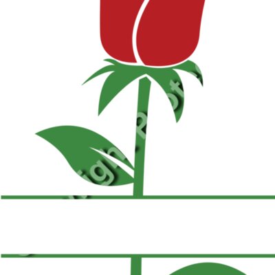 Rose 09 Thumbnail