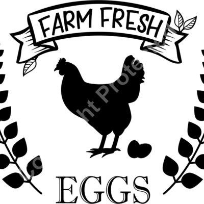 farmfresheggs Thumbnail