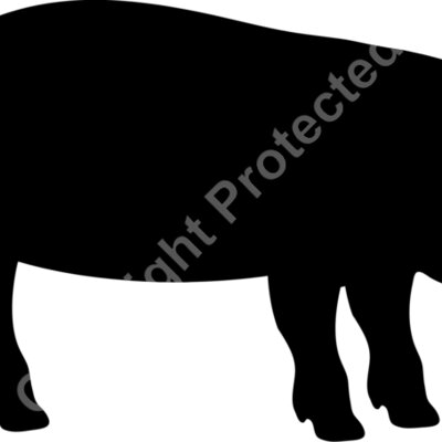 pig Thumbnail