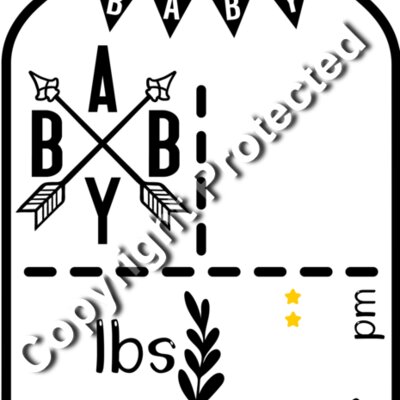 mason jar baby arrows no boxes pm Thumbnail